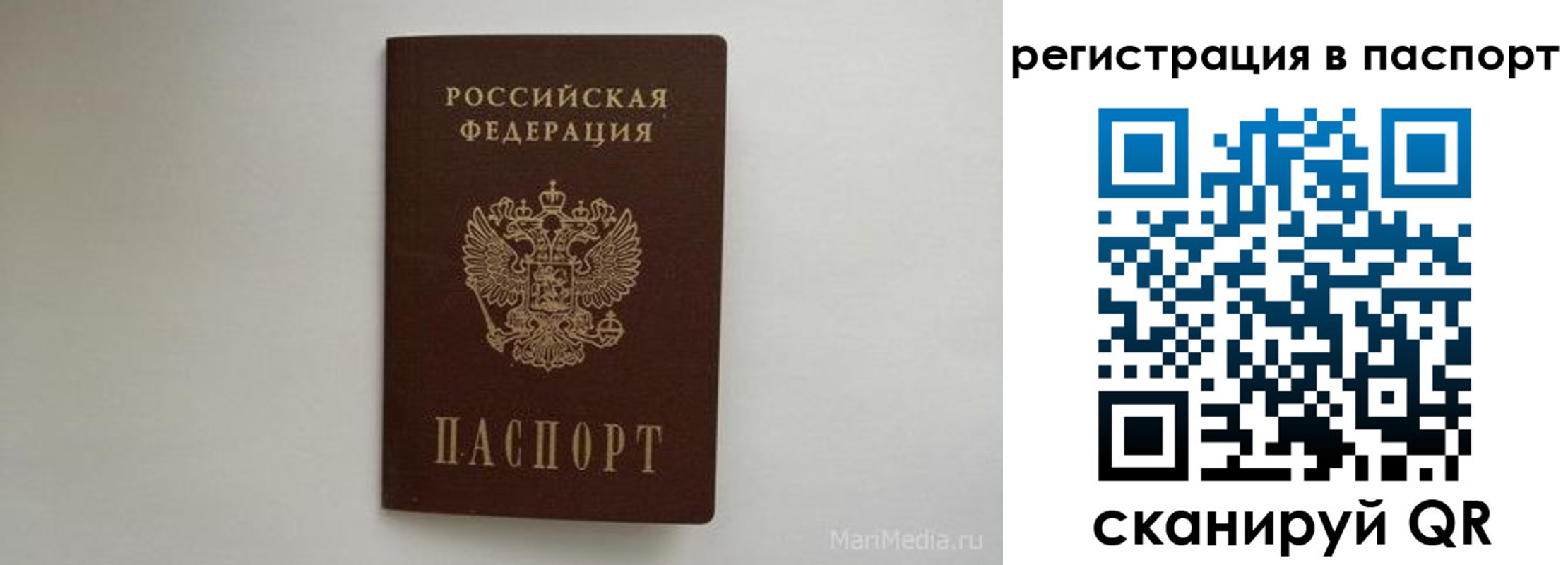 прописка в Фокино